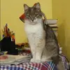 Отзыв от Арина Платонова
